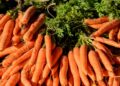 В холодильнике или нет: как на самом деле хранить морковь, чтобы оставалась твердой