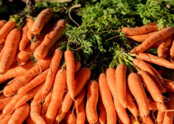 В холодильнике или нет: как на самом деле хранить морковь, чтобы оставалась твердой