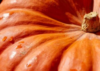 Повар проверил три лайфхака для легкой чистки тыквы: сработало всего два (ВИДЕО)