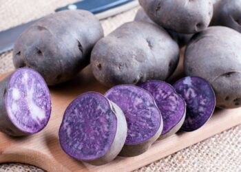 Этот «космический» картофель прекрасно растет в Украине: лучшие фиолетовые сорта