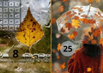 Счастливые и неудачные числа ноября: эзотерический календарь поможет спланировать важные события