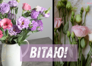 День ангела Платона: лучшие поздравления и атмосферные открытки с именинами — на украинском