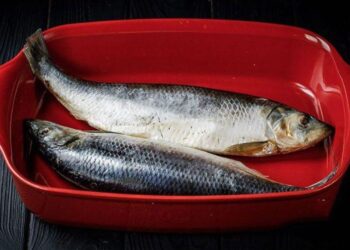 Белые «черви», которые вы находите в сельди и скумбрии: что это и есть ли риск заражения