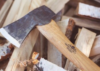 Где взять дрова в Украине осенью 2025 года: как получить бесплатно и сколько сейчас стоят