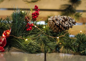 Нет места для большой елки? Вот как красиво украсить дом хвойными ветвями