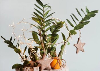 Как безопасно украсить комнатные растения к Новому году: идеи для «домашних джунглей» на праздники (ФОТО)