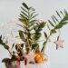 Как безопасно украсить комнатные растения к Новому году: идеи для «домашних джунглей» на праздники (ФОТО)