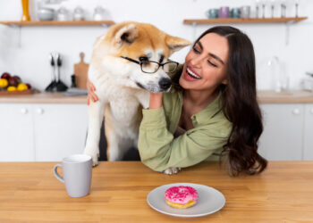 Вкусно, но безопасно ли? Какие продукты с человеческого стола можно (и нельзя) давать собаке