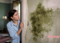 Это самодельное средство уничтожит черную плесень и не повредит обои: действенный и безопасный метод