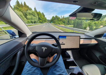 Искусственный интеллект Илона Маска Grok появится в автомобилях Tesla в Европе