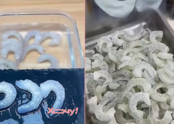 «Морепродукты», которые не видели моря: как делают «креветки» из клейкой крахмальной массы (ВИДЕО)