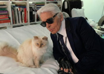 Родственники Карла Лагерфельда хотят отсудить большое наследство у самой богатой кошки мира