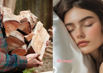 Пора подумать о беременности или разводе? Прорицатели расшифровали сон о дровах