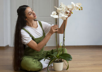 Орхидея «проснется» от этого аптечного средства: эффект заметен почти сразу