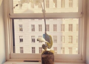 Кэти Голмс показала, как одна деталь может полностью изменить интерьер