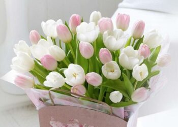 Бабушки, с любовью: поздравления с 8 Марта в прозе и картинках