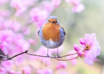 Все живет, цветет и возрождается: 25 причин любить весну в любом возрасте