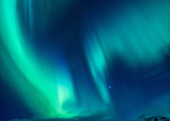 Укргосархив передал 10 ТБ данных для обучения украинского ИИ «Сяйво»