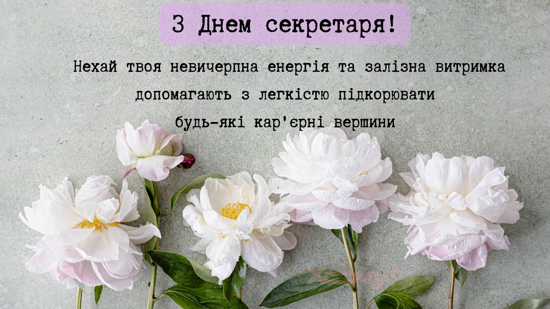 Когда все держится на одном человеке: искренние поздравления с Международным днем секретаря 2026 года