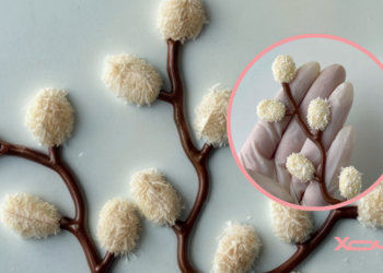 Нежный весенний декор для пасок своими руками: как сделать шоколадные вербовые котики за 5 минут (ВИДЕО)