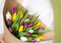 Тюльпаны по лучшей цене с доставкой на дом