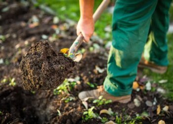 На огород ни ногой: в какой день после праздника земля «открывается» для труда