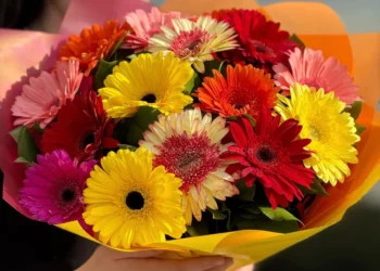 Букет из гербер – когда яркость уместна и почему эти цветы не выглядят навязчиво