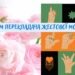 Язык, который видят сердцем: трогательные поздравления и открытки ко Дню переводчика жестового языка