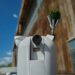 В Postup Solutions показали систему, которая самостоятельно обнаруживает и нейтрализует FPV-дроны