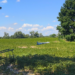 В Україні запустили японський дрон-перехоплювач Terra A2 з дальністю польоту до 75 км