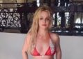 Бритни Спирс лаяла, ходила с ножом и курила в ресторане