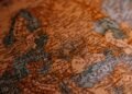 Генетический код нации: ученые выяснили, кто на самом деле предки украинцев