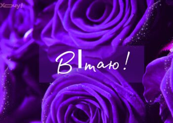 Игнат, сегодня все для тебя! Подборка атмосферных пожеланий на украинском языке на именины Игната