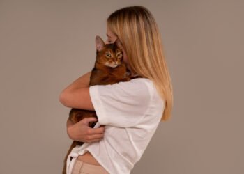 Сфинксы, мейн-куны или британские короткошерстные? Зоопсихолог назвал породы кошек, от которых вы никогда не дождетесь нежности (ВИДЕО)