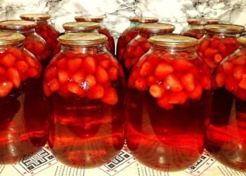 Хоть 100 банок закрой – будет мало: как приготовить клубничный компот на зиму (РЕЦЕПТ)