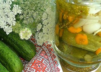 Самые вкусные огурчики на зиму: как заготовить их по-польски (РЕЦЕПТ)
