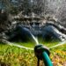 От этого «совета» один только жаль: какая вода для полива снизит урожай