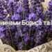 День Бориса и Глеба 2026: религиозные поздравления душевными словами и открытки к празднику