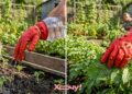 До такого вы даже не додумались бы: 3 практичных лайфхака со старыми резиновыми перчатками, о которых вы не знали