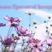 Защиты, мира и согласия в каждый дом: красивые открытки и поздравления с Первой Пречистой