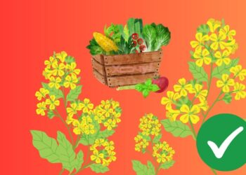 Простой лайфхак, как получить идеальный огород: нужно только посадить это растение