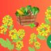 Простой лайфхак, как получить идеальный огород: нужно только посадить это растение