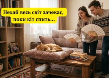 Эти усатые проказники заставят вас хохотать: подборка лучших фотоприколов и вирусных мемов с котами.
