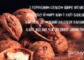 Чтобы в доме царили изобилие и мир: красивые картинки и поздравления с Третьим Спасом
