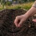 Успеете собрать богатый урожай до первых заморозков: что срочно нужно посеять на огороде в августе