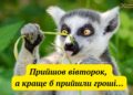 «Не драматизируй, это всего лишь вторник»: лучшие приколы и жизненные мемы о тяжелых рабочих буднях
