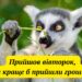 «Не драматизируй, это всего лишь вторник»: лучшие приколы и жизненные мемы о тяжелых рабочих буднях