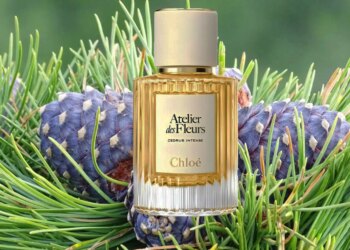 Магия дикого леса в каждой капле: новый аромат Chloé Cedrus, завоевывающий сердца женщин в 2026 году (ФОТО)