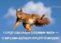 Маленькая пятница или тяжелый экватор: забавные приколы о среде, которые заставят улыбнуться даже самым печальным