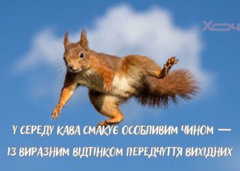 Маленькая пятница или тяжелый экватор: забавные приколы о среде, которые заставят улыбнуться даже самым печальным